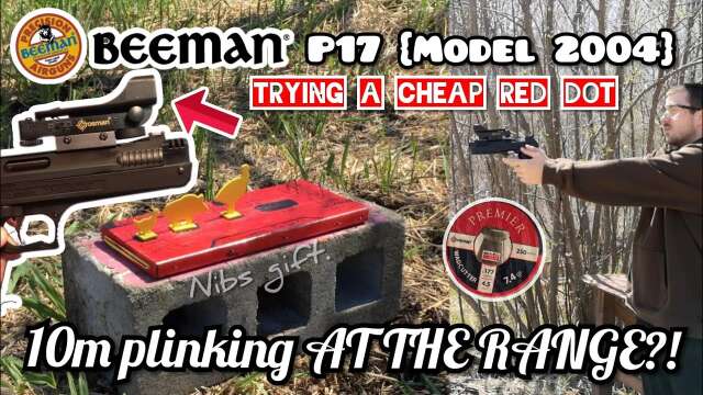 Trying a "cheap" Red dot sight on my Beeman P17 // Is the Combo really worth it? {+ Bad shooter}