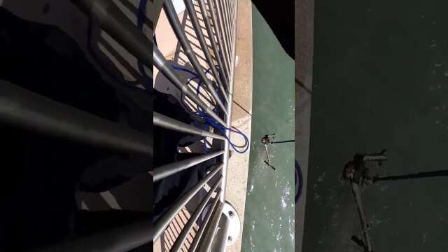 Another great day for the Motor City Magnet Fishers.  #magnetfishing #detroit  #teamkratos #Crime