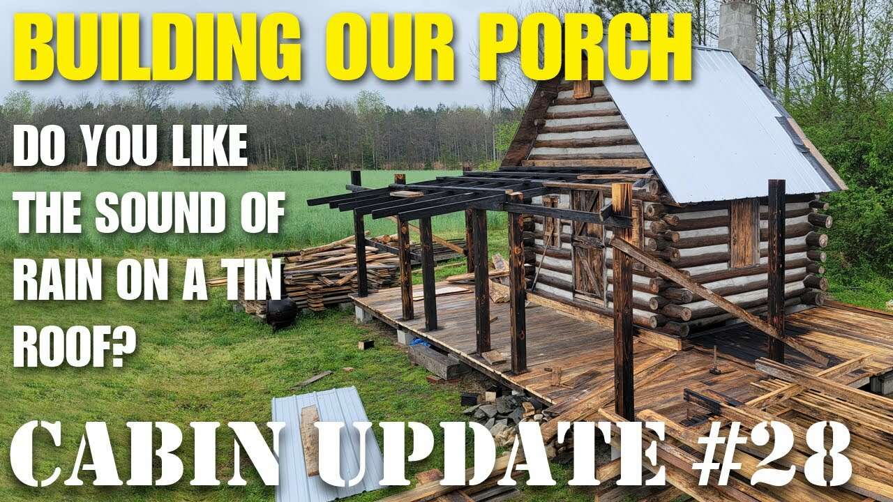 Father and son off grid cabin build update #28