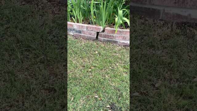HOA Certified Letter, Fines, possible lien!! HOA Drama Part 1
