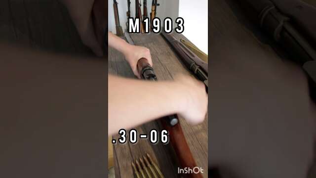 Loading EVERYTHING with Swedish Mauser clips