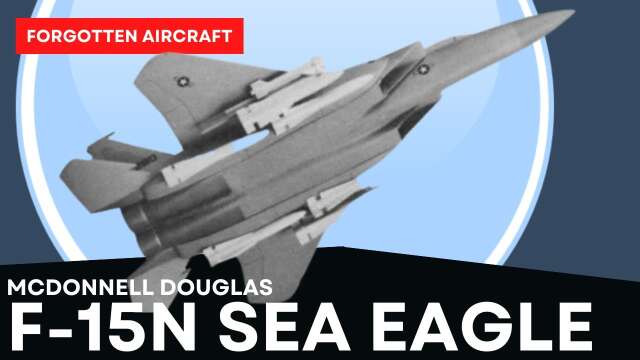 The McDonnell Douglas F-15N Sea Eagle; Tomcat Rival