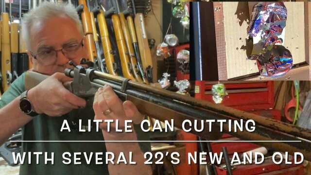 Can cutting with several of my 22 airguns new and old Crosman Gamo Webley & Xisico