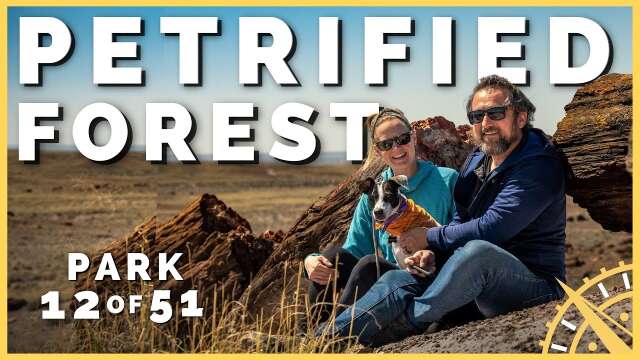 🌳🏜️ Petrified Forest NP: Most Dog Friendly National Park in USA? | 51 Parks with the Newstates
