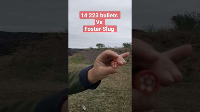 14 .223 bullets vs Foster Slug