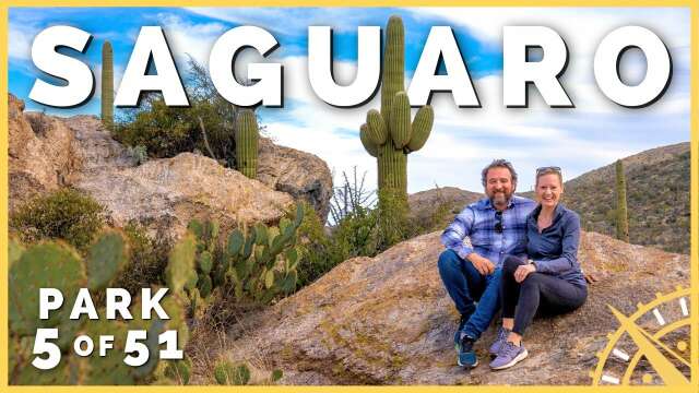 🌵⛰️ Saguaro National Park: Over 2 Million Cactus! | 51 Parks with the Newstates