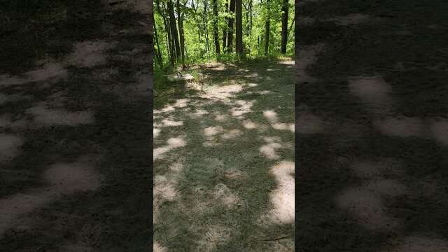Watch Tower Site 🔥 #watchtower #fire #findinghistory #outdoors #lakecounty #michigan #history