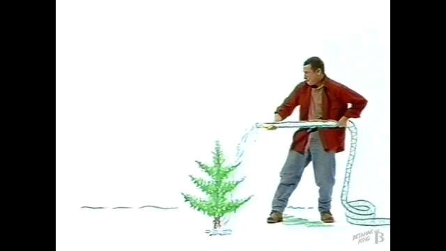 Tree Canada Foundation Commercial 1996