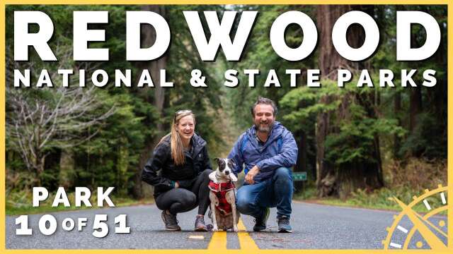 🌳🪄 Redwood NP: Magical, Mystical Trees, & So Much More! | 51 Parks with the Newstates