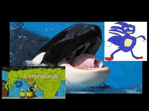 This week in What were they thinking #220 Long COVID, orcas, sonic the hedgehog & Enceladus