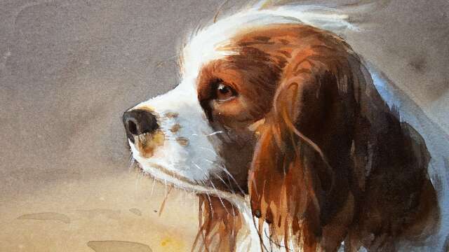 Watercolor Painting a Cavalier King Charles Spaniel Dog